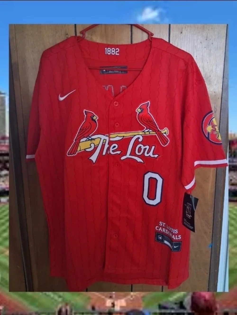 Mystery Sports Card With Maysn Winn STL Cardinals Small Jersey